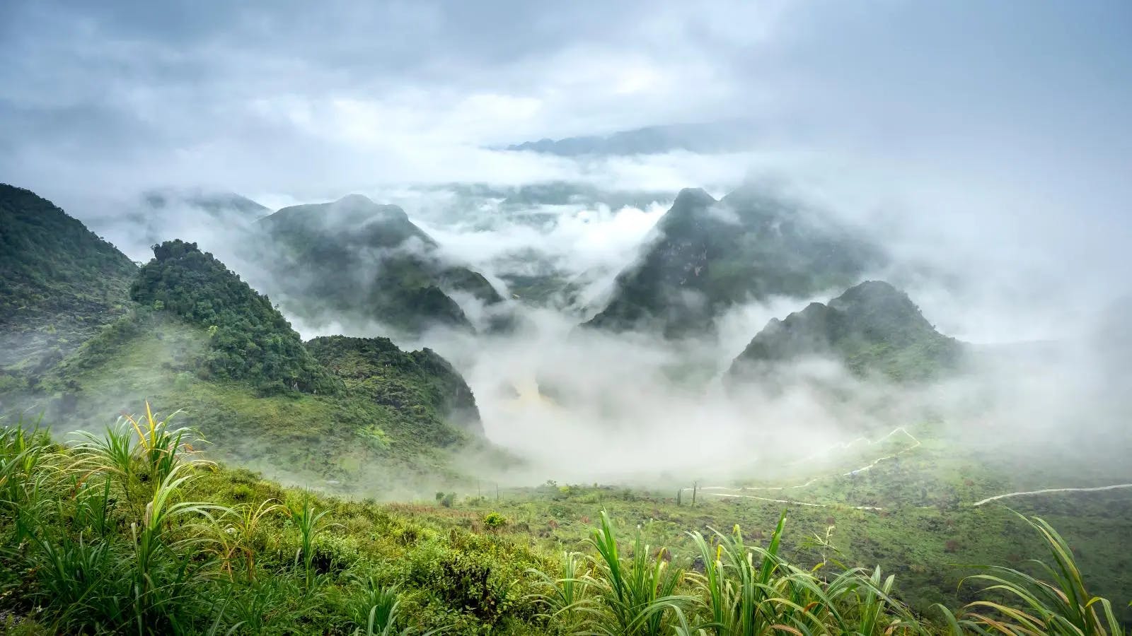 Peak Season (November to March)